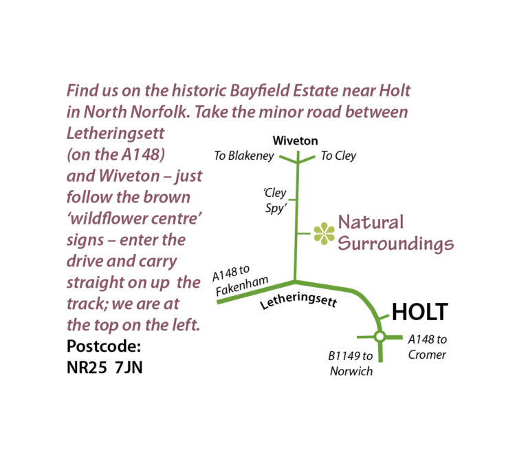 Where to Find Us Location Map