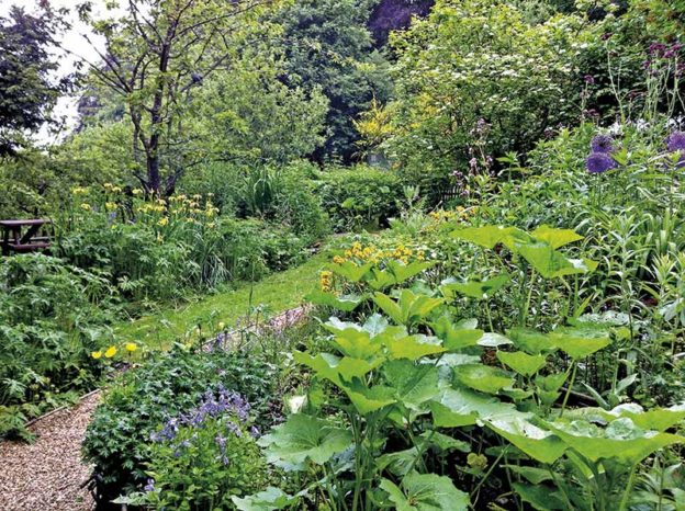 Wildlife garden at Natural Surroundings