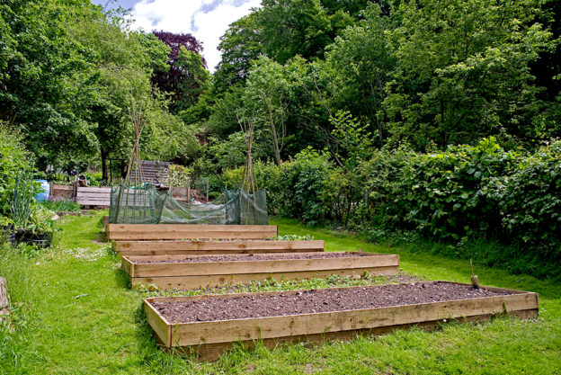kitchen garden at Natural Surroundings wildflower centre