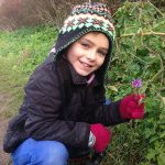 On the New Yaer Plant Hunt