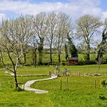 boardwalk and meadows